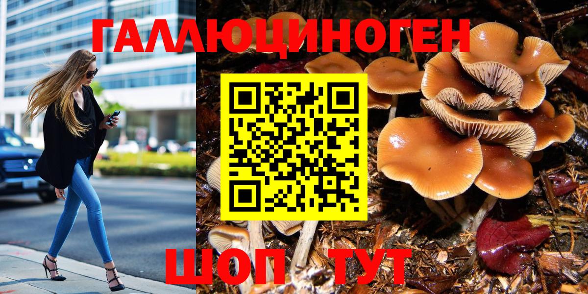 Псилоцибиновые грибы Psilocybe Изобильный