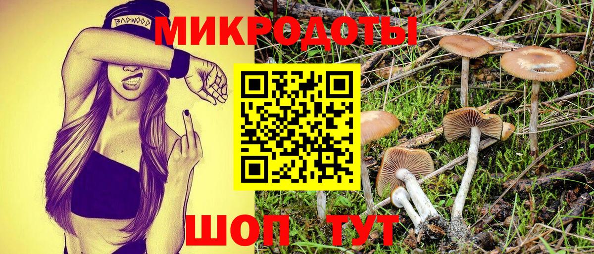 Псилоцибиновые грибы мицелий  Псилоцибиновые грибы мухоморы  Изобильный  где купить наркоту  Вход с VPN 