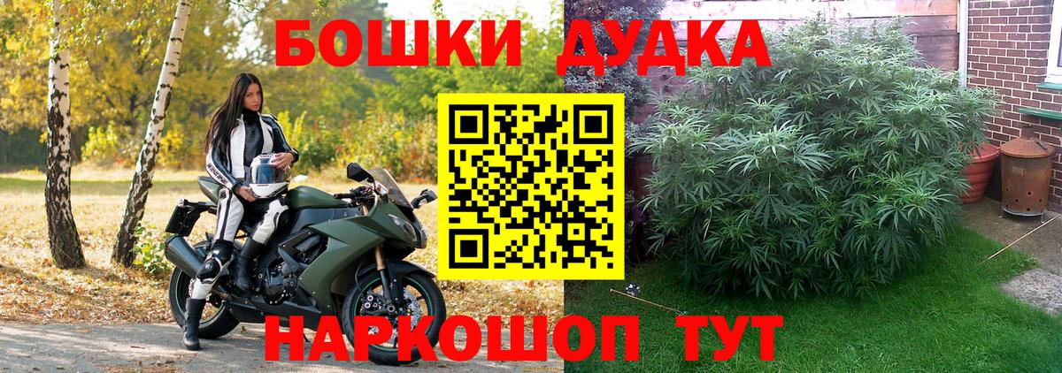 Шишки марихуана гибрид Изобильный